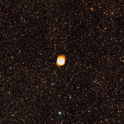 6781.jpg
