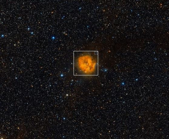 ic5146(cocoon).JPG