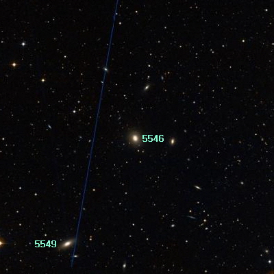 5546.jpg