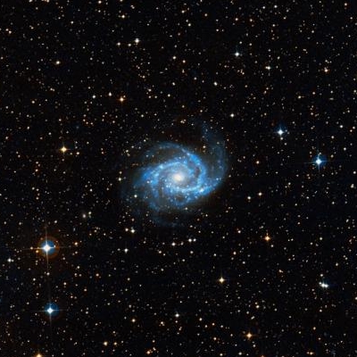 2997.jpg