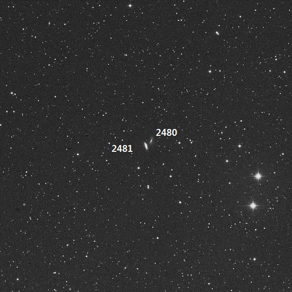 2481.jpg
