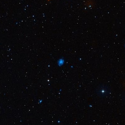 2942.jpg
