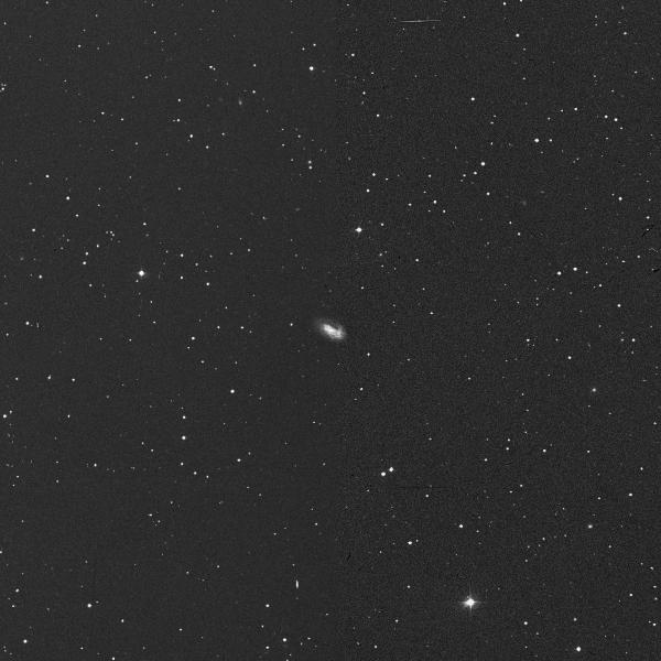 3055.jpg