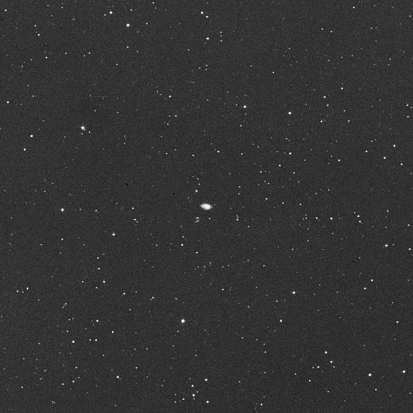 2990.jpg