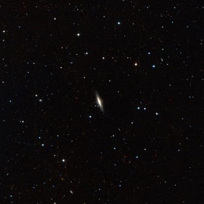 955.jpg