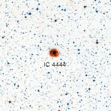 IC-4444.jpg