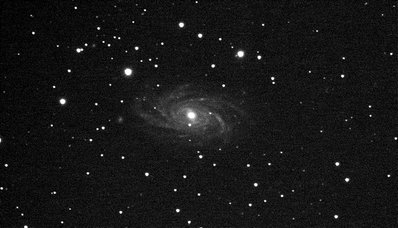 NGC2336_httpwww.weasner.com.jpg