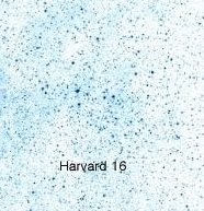 Harvard-16.jpg