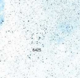 NGC-6425.jpg