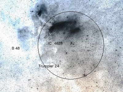 NGC-6231.jpg