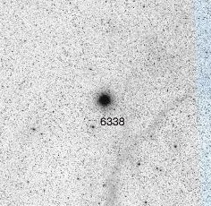 NGC-6338.jpg