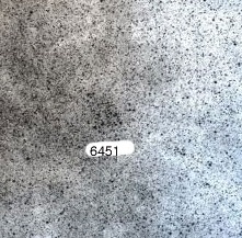 NGC-6451.jpg