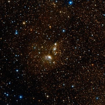 ic4954,55.png