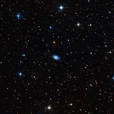 959.jpg