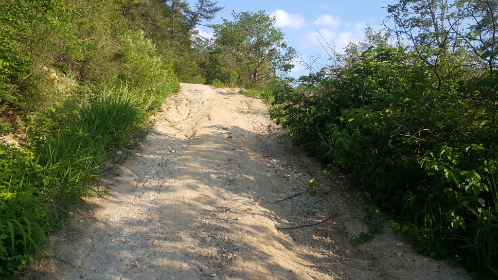 20160609_180221.jpg