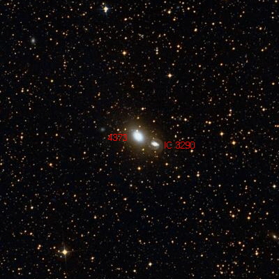 4373.jpg
