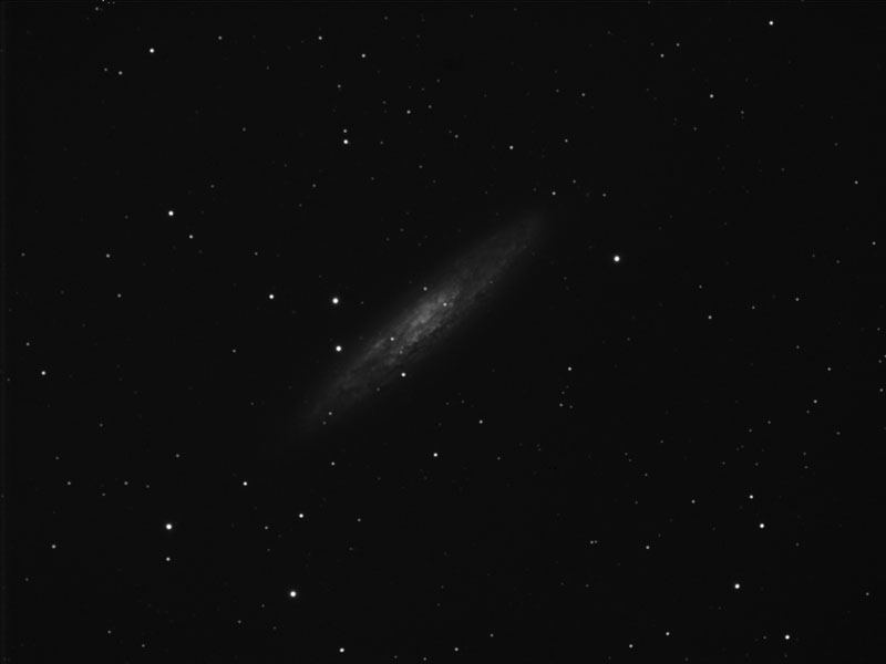 NGC253.jpg