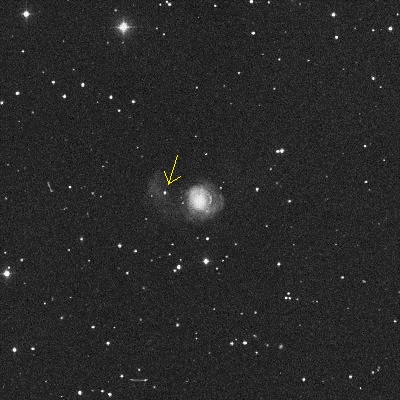 ngc2782_0.3.jpg