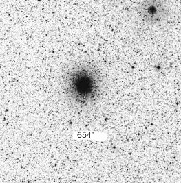 NGC-6541.jpg