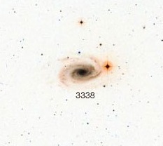 NGC-3338.jpg
