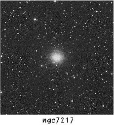 ngc7217.JPG