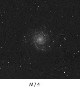 m74.JPG