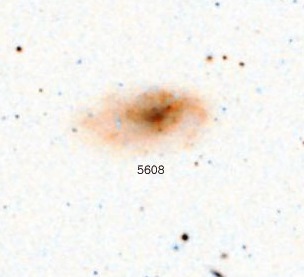 NGC-5608.jpg