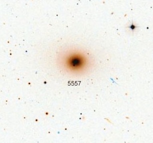 NGC-5557.jpg