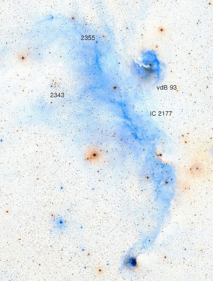 IC-2177.jpg