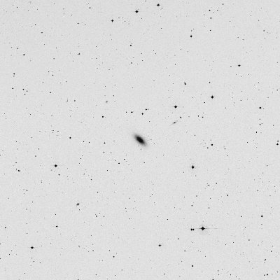 4033.jpg