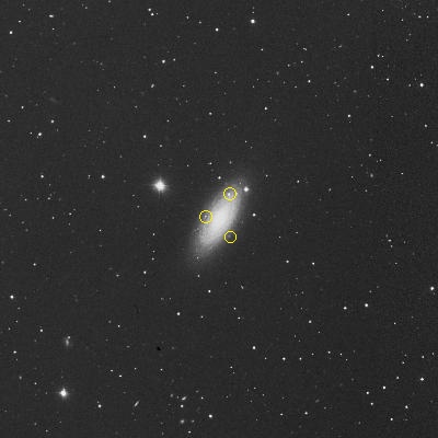 ngc2841.jpg