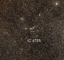 IC-4725.jpg
