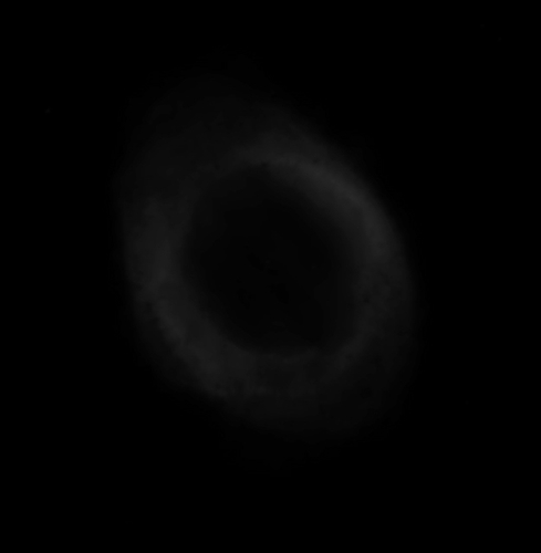 M57_The_Ring_Nebula.jpg