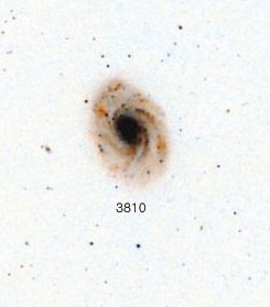 NGC-3810.jpg