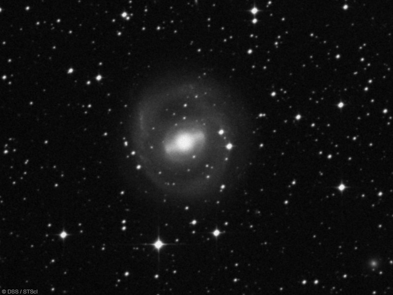 ngc2217.jpg