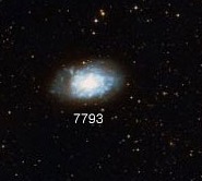 NGC-7793.jpg