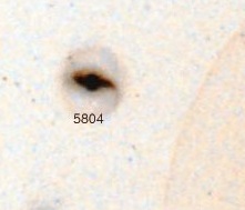 NGC-5804.jpg