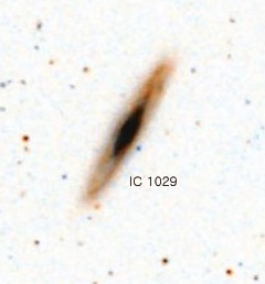 ic1029.jpg