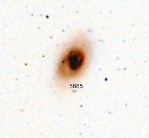 NGC-5665.jpg