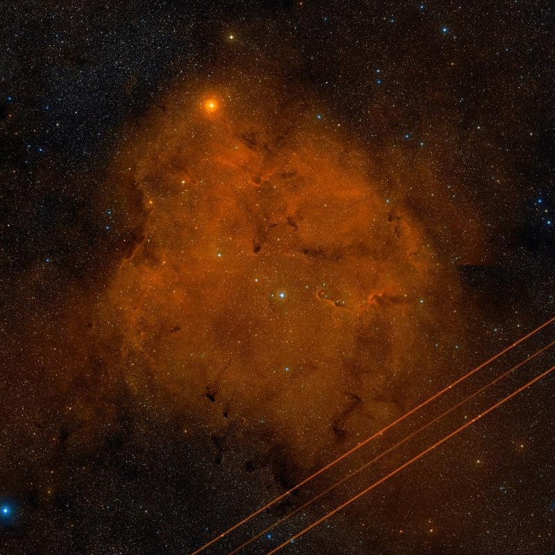 ic1396.jpg