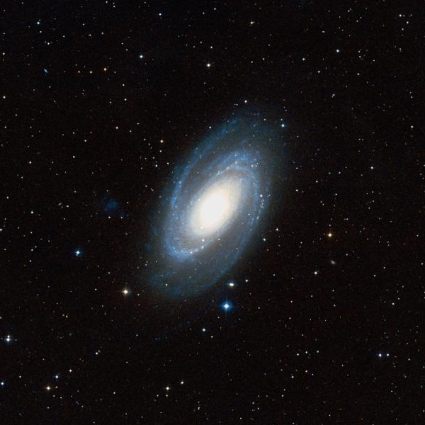 m81.jpg