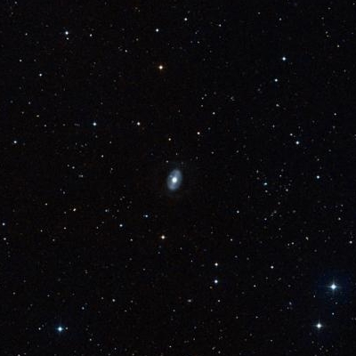 4250.jpg