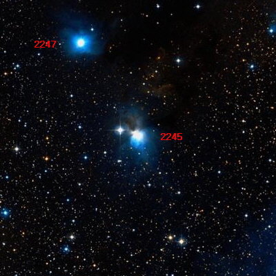 2245, 2247.jpg