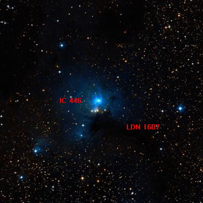 ic446.jpg