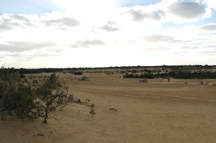 740_SAM_5104.JPG