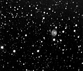 n6905.jpg