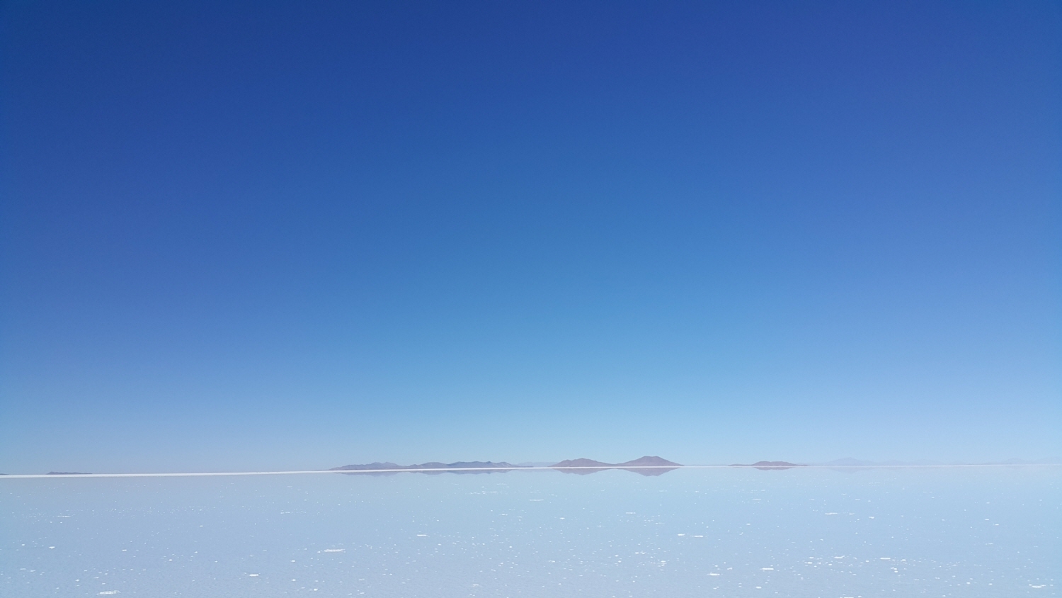 20190708_095617.jpg