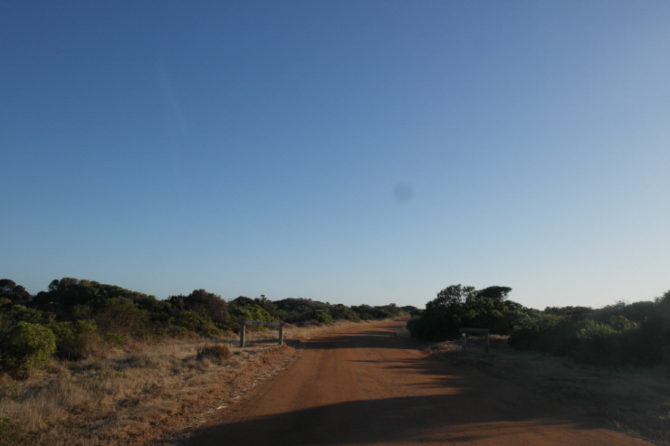 740_SAM_5161.JPG