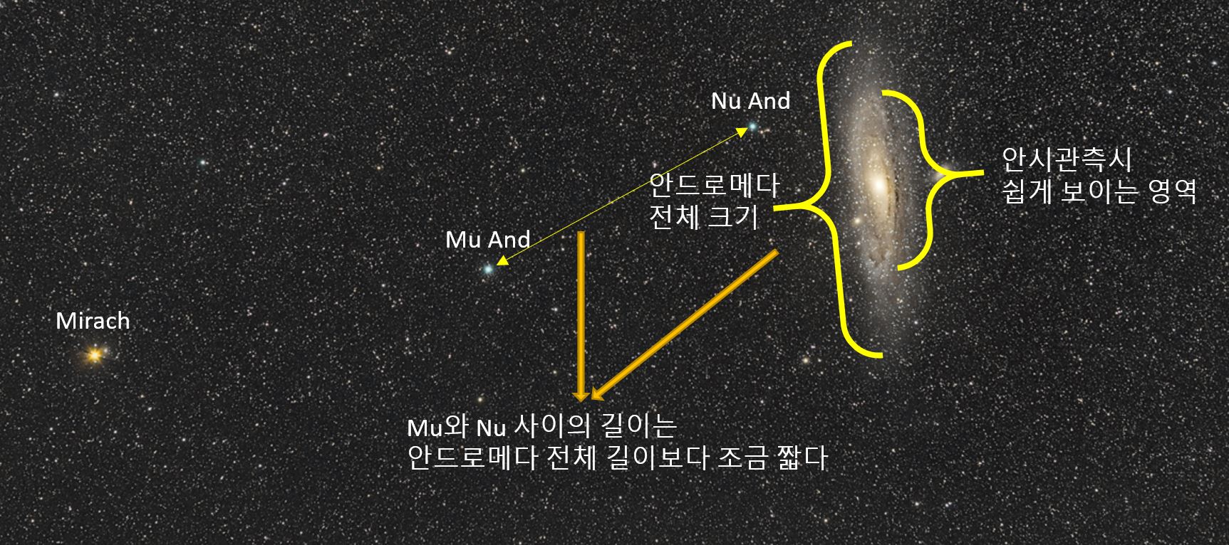 M31 length.JPG