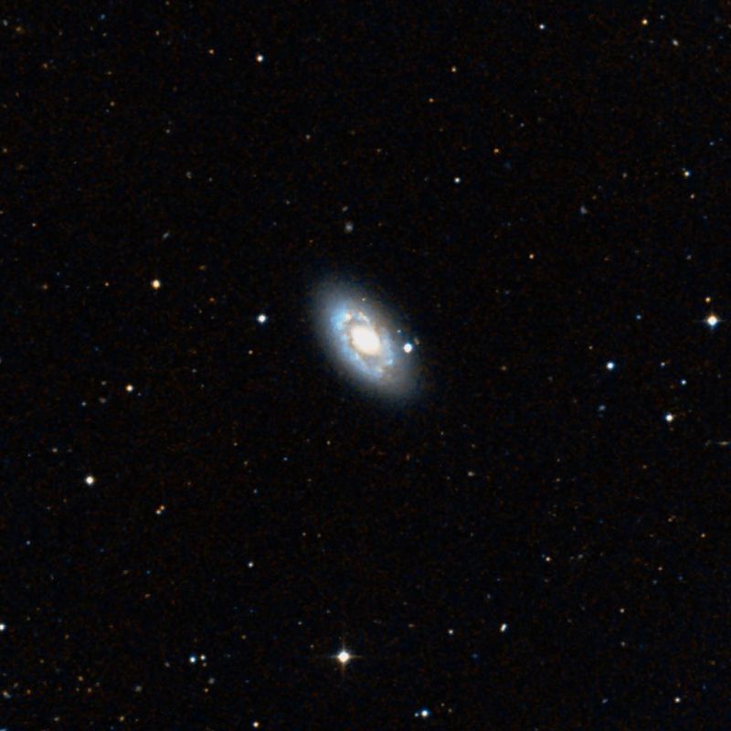 4102.jpg